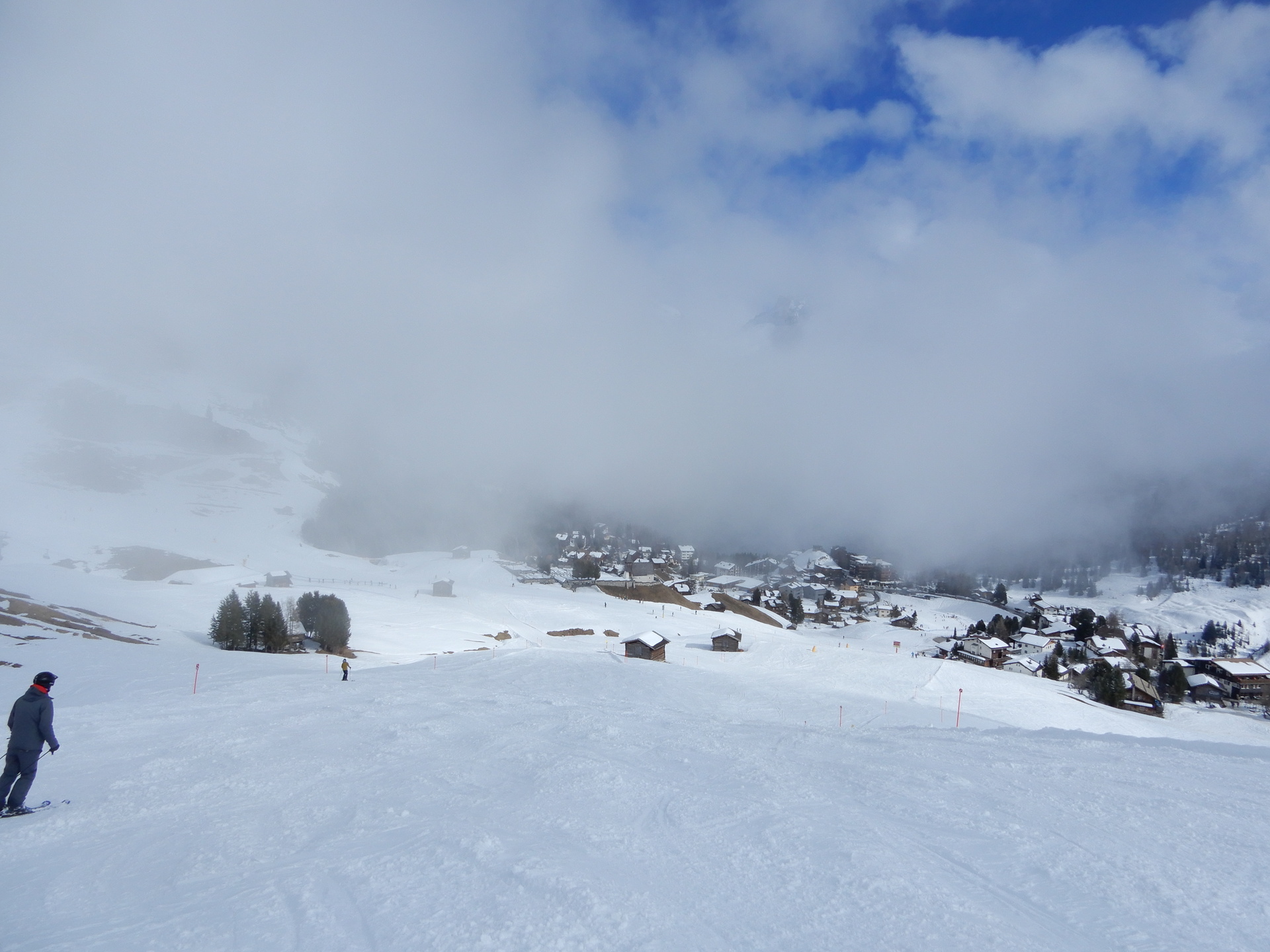 dscn7247t1dog.jpg