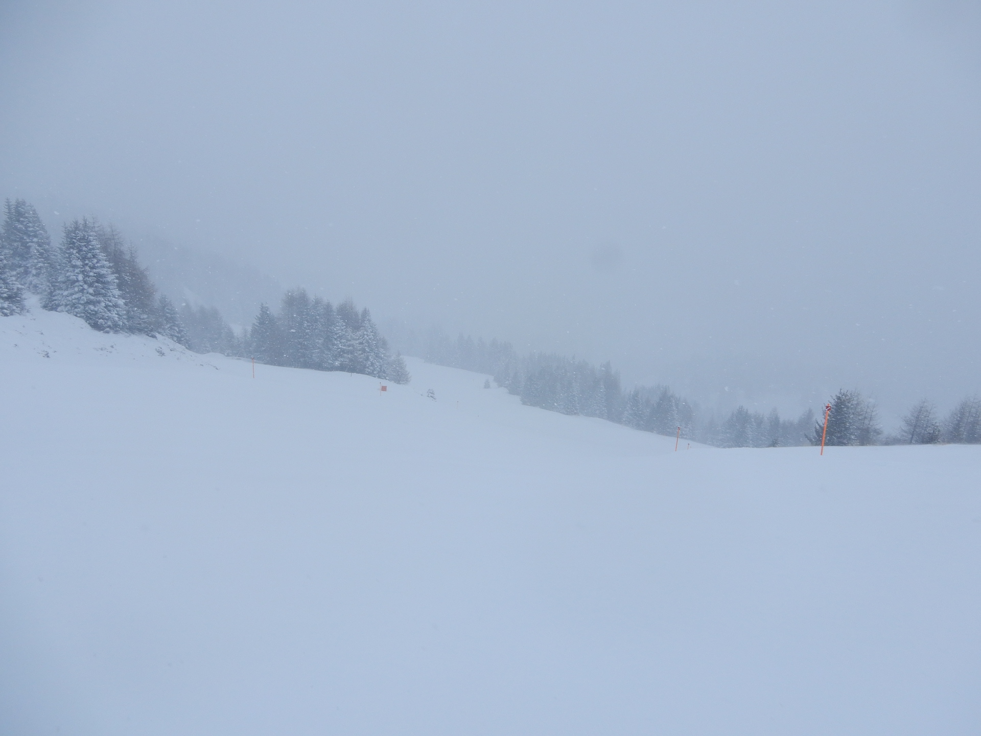 dscn74522wdz4.jpg