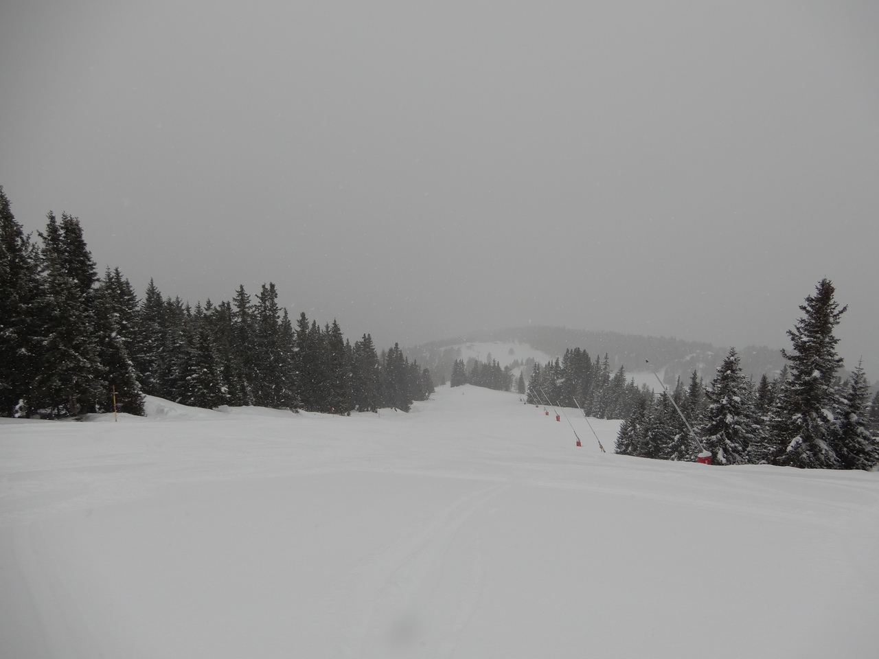 dscn7608uzswi.jpg