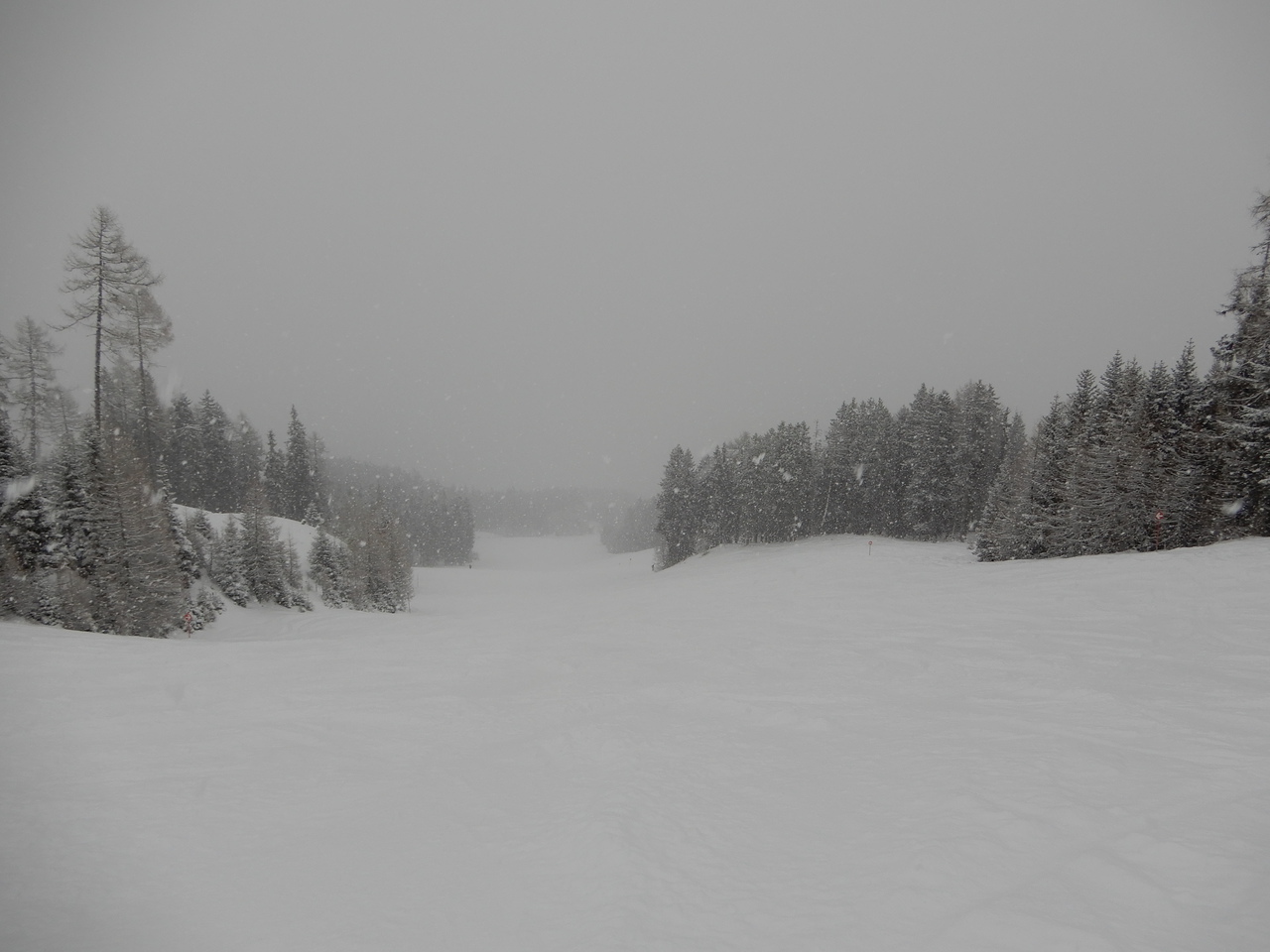 dscn7618zrs8u.jpg