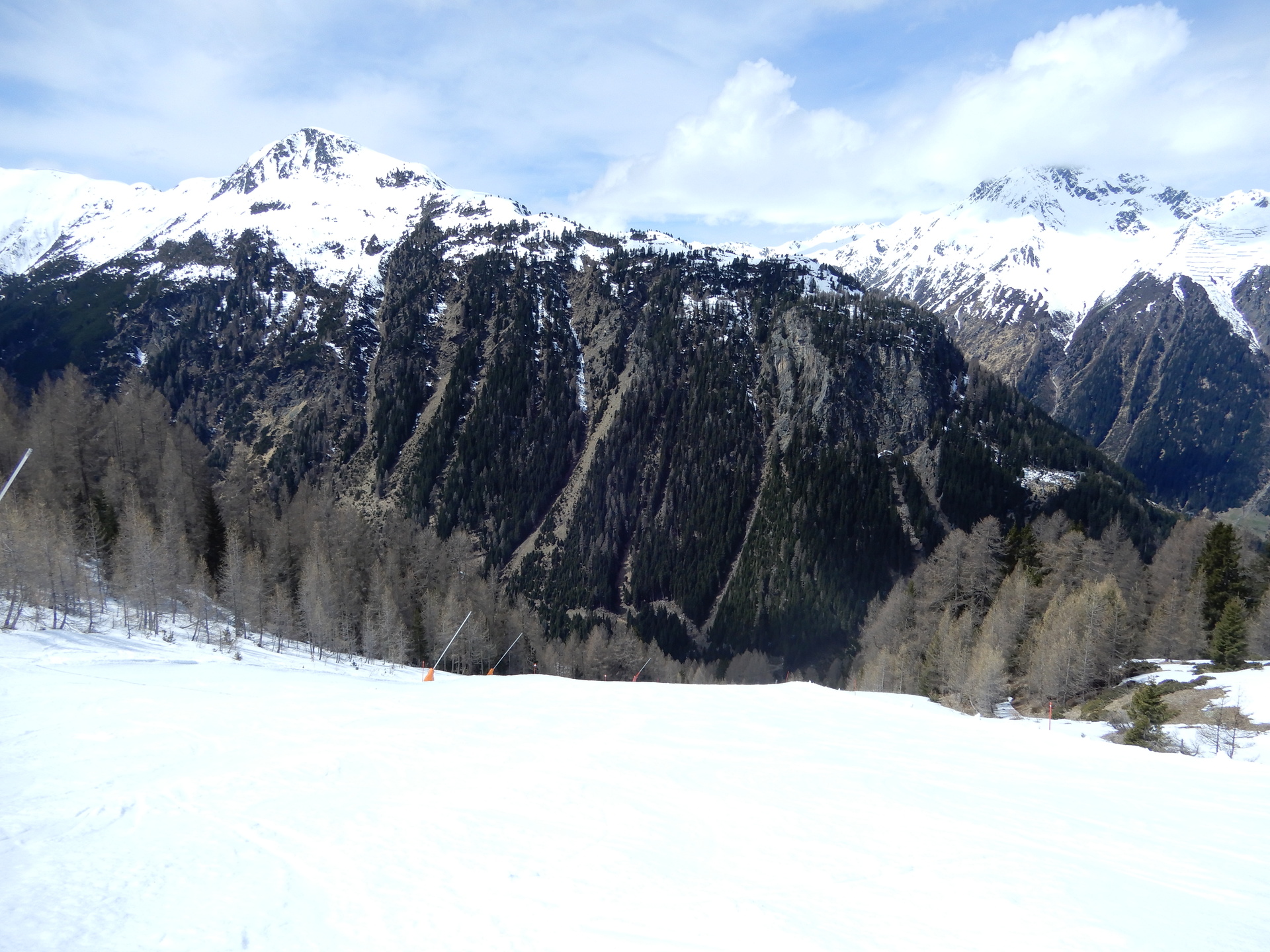 dscn7815zxfl2.jpg