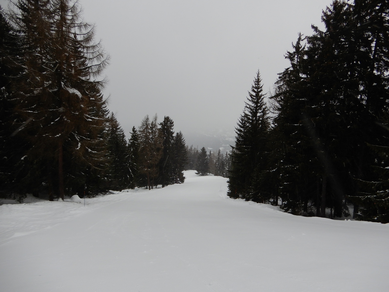 dscn7845bksd6.jpg
