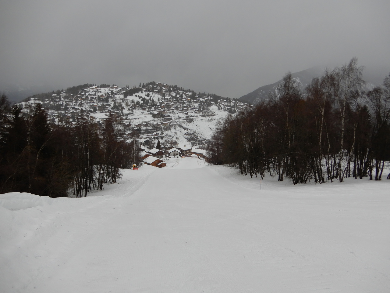 dscn78463ss4a.jpg
