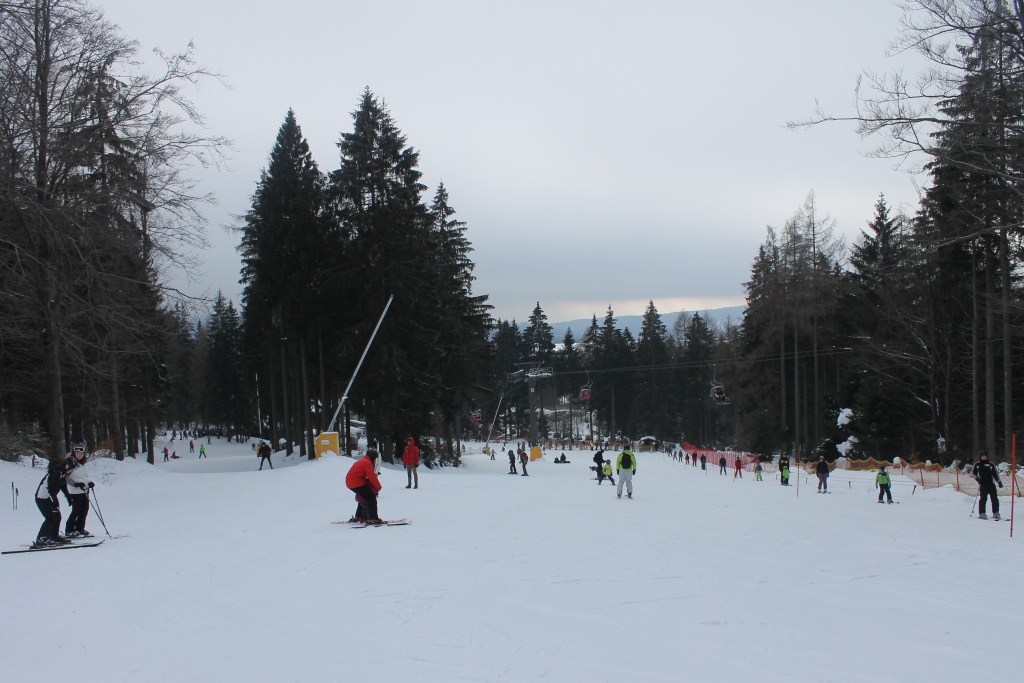 img_0540qtkbe.jpg