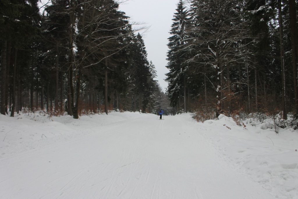 img_0596afj3m.jpg