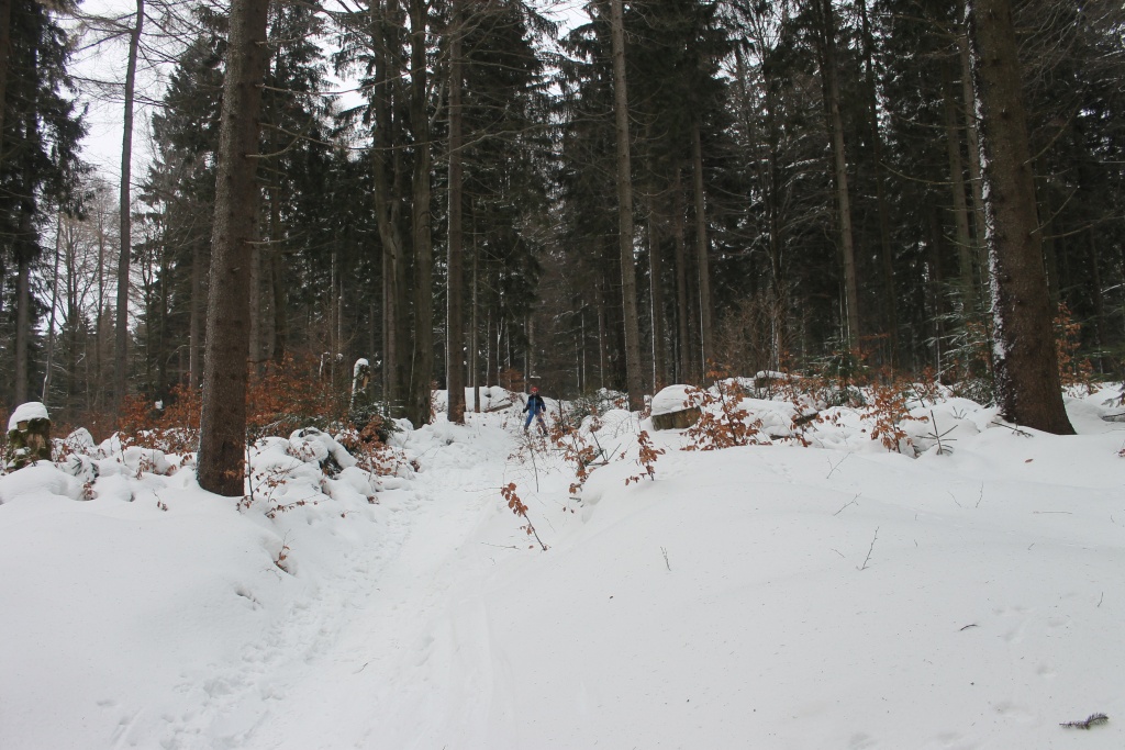 img_05981dkvp.jpg