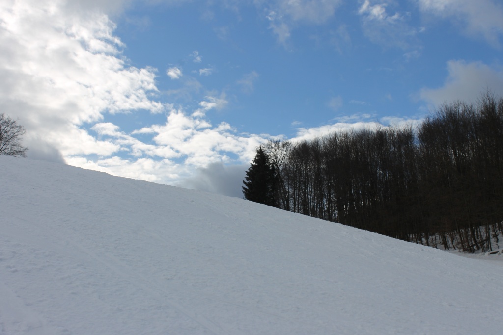 img_0692zlk3p.jpg