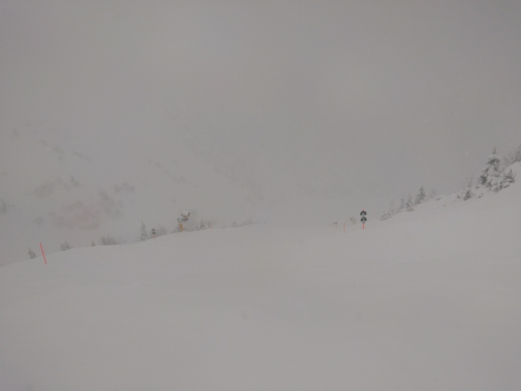 img_20190105_151228t9ec3.jpg