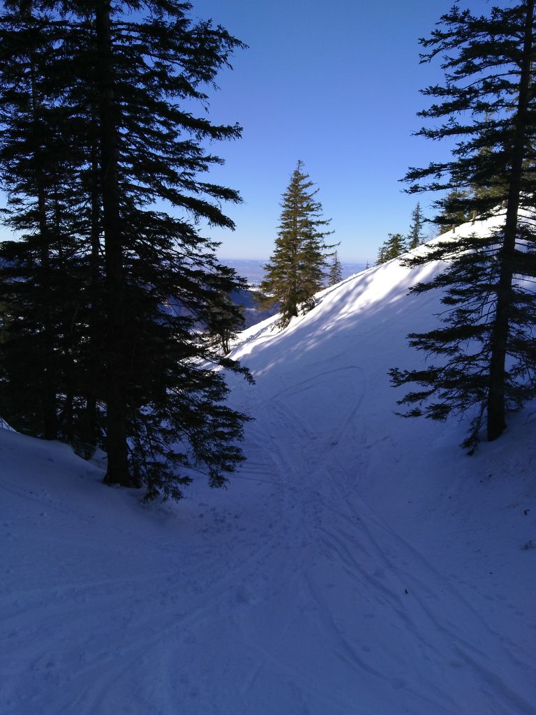 img_20190216_140409v2jgn.jpg