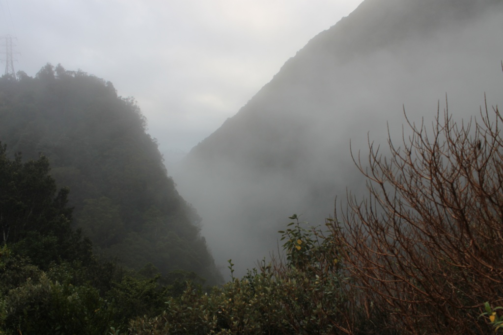img_5185keymq.jpg