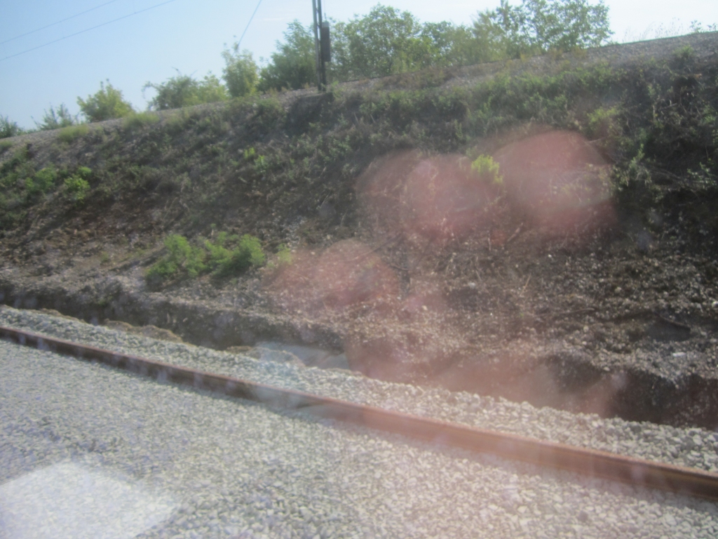 img_6715qqy3x.jpg