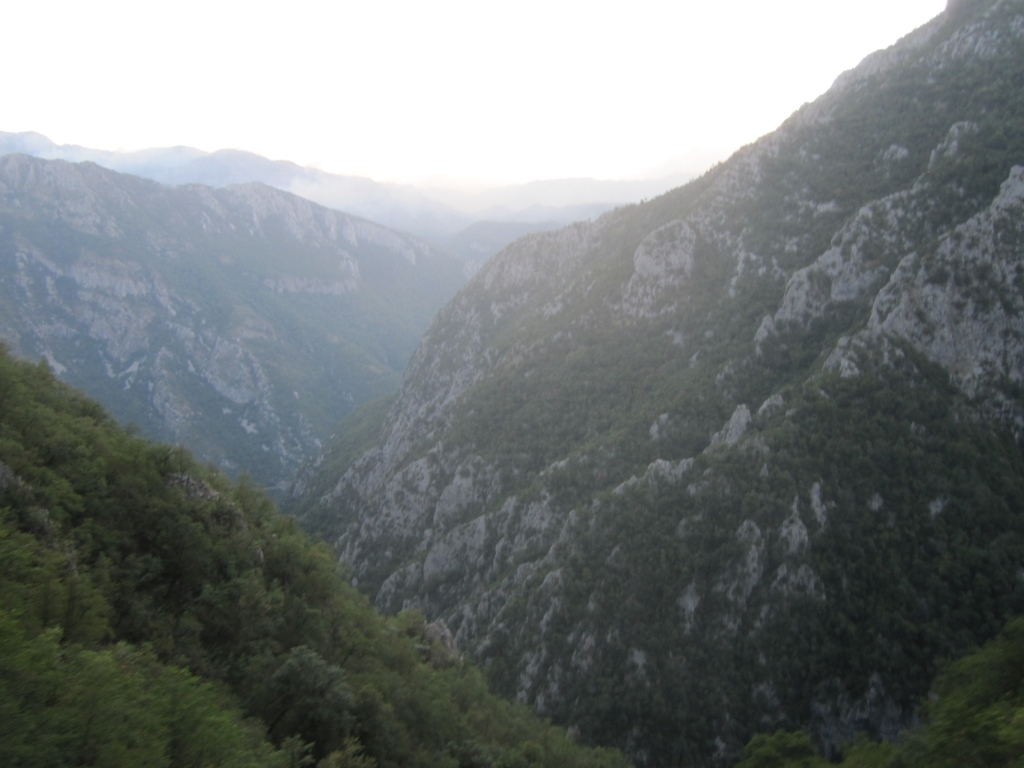 img_6785zxxm1.jpg