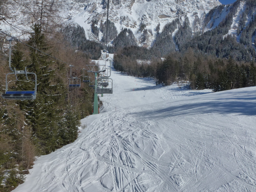 p1020924ybs5i.jpg