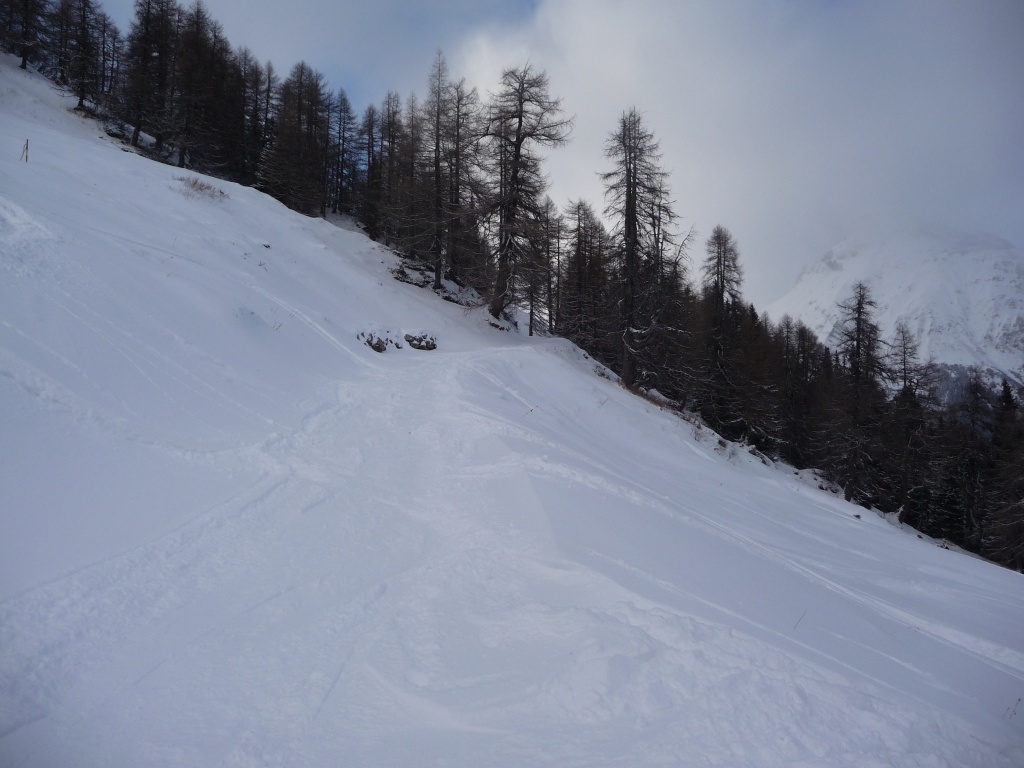 p1090232ums4i.jpg