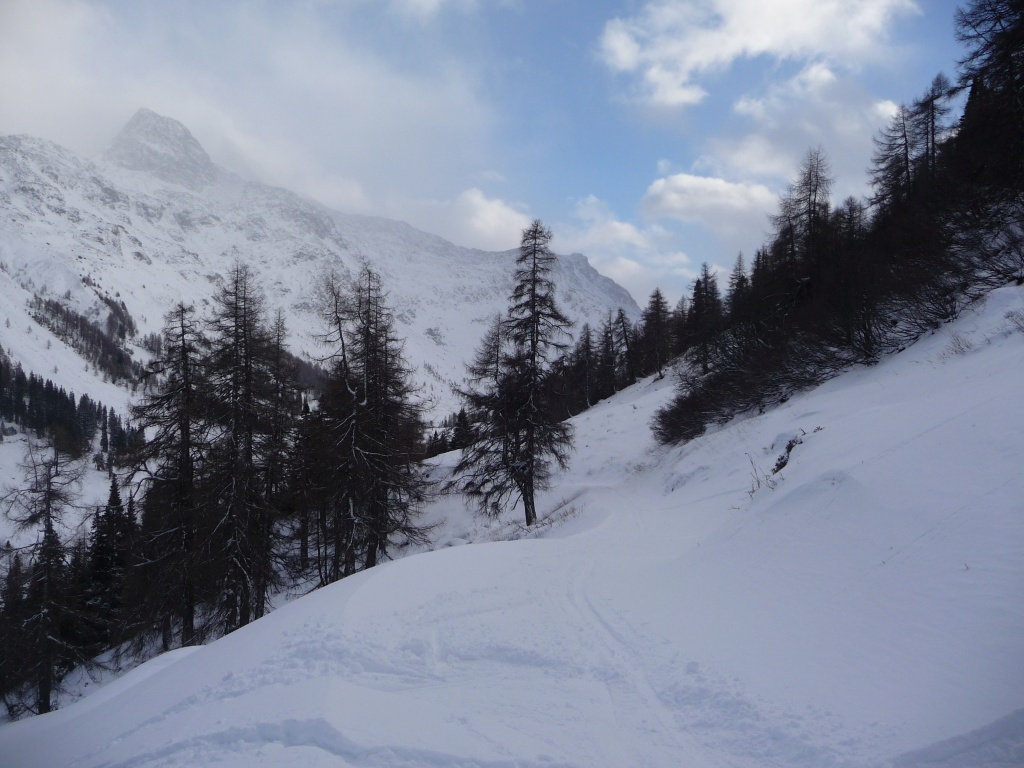 p1090233f2sgz.jpg
