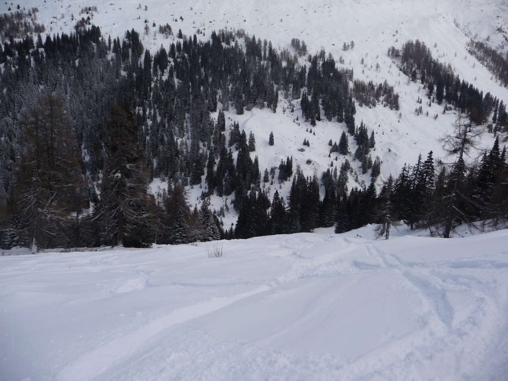 p1090234k1s8a.jpg