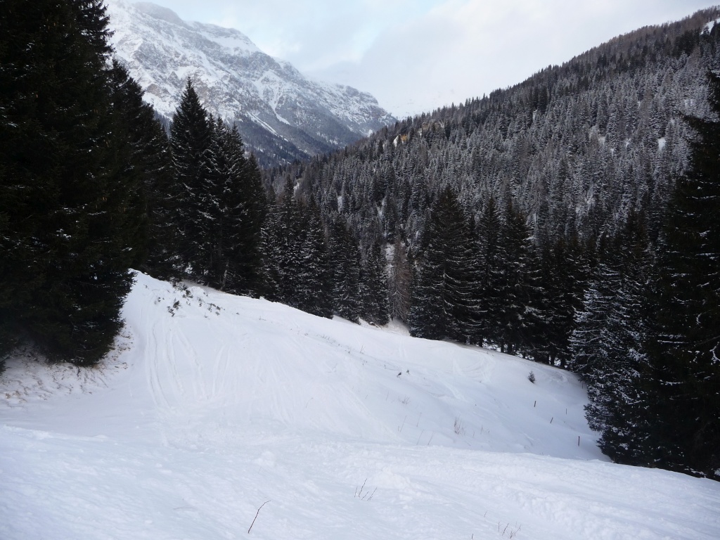p1090236i3sj4.jpg