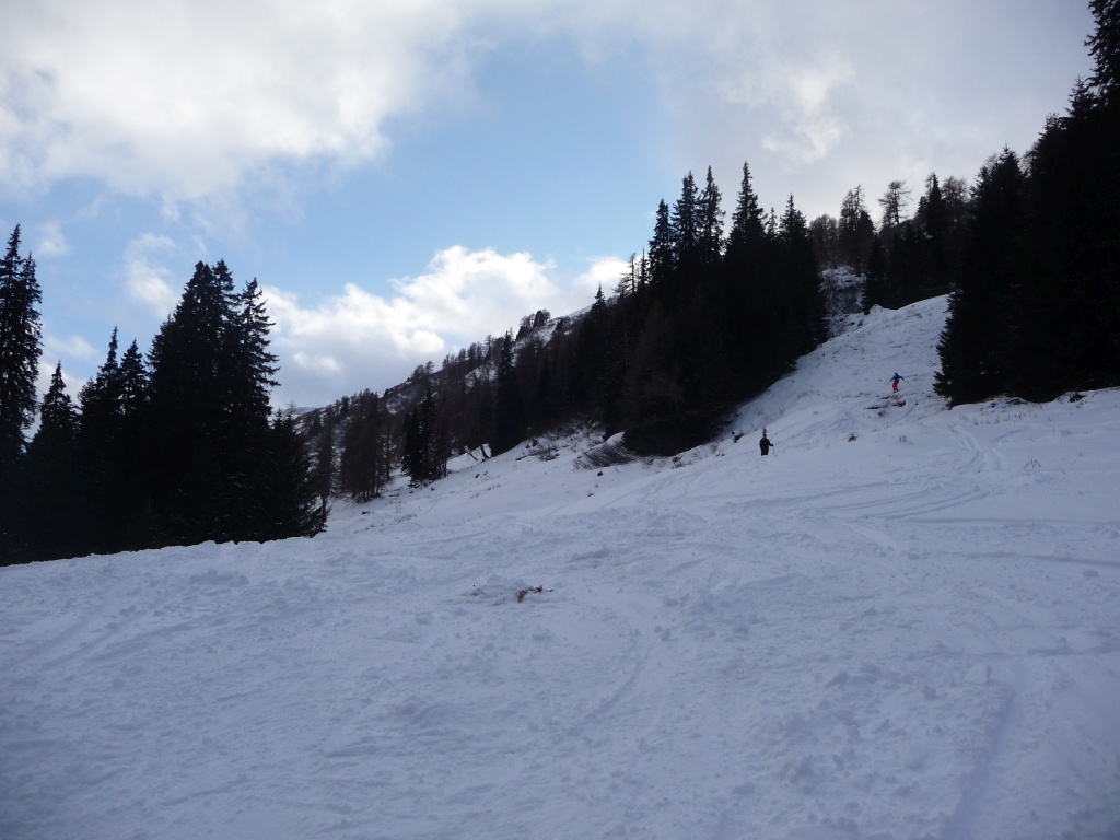 p1090237nus5b.jpg