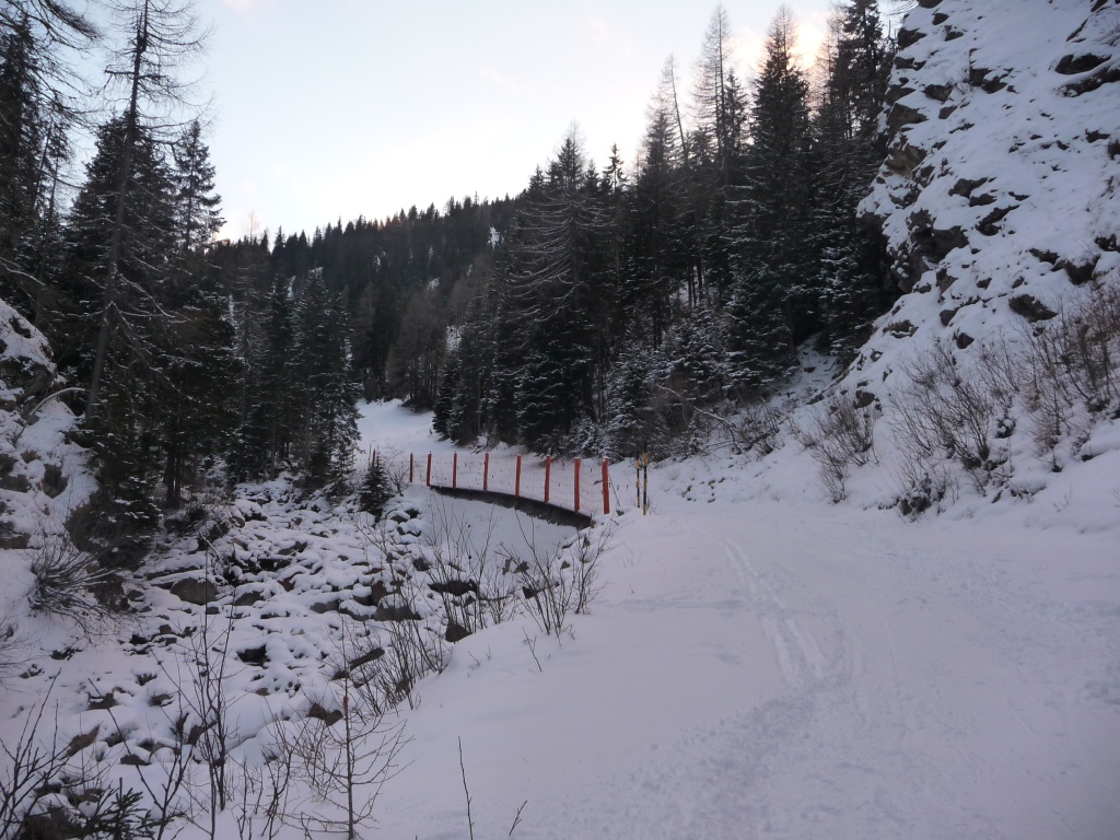 p10902533ks42.jpg
