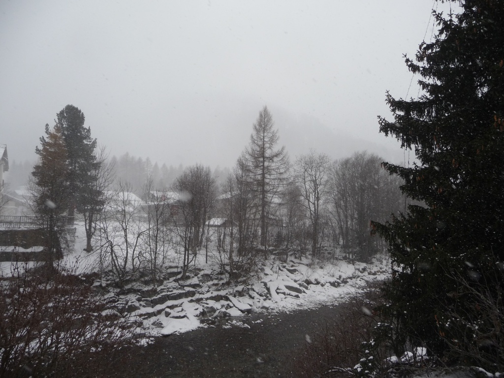 p1090268ctsbm.jpg