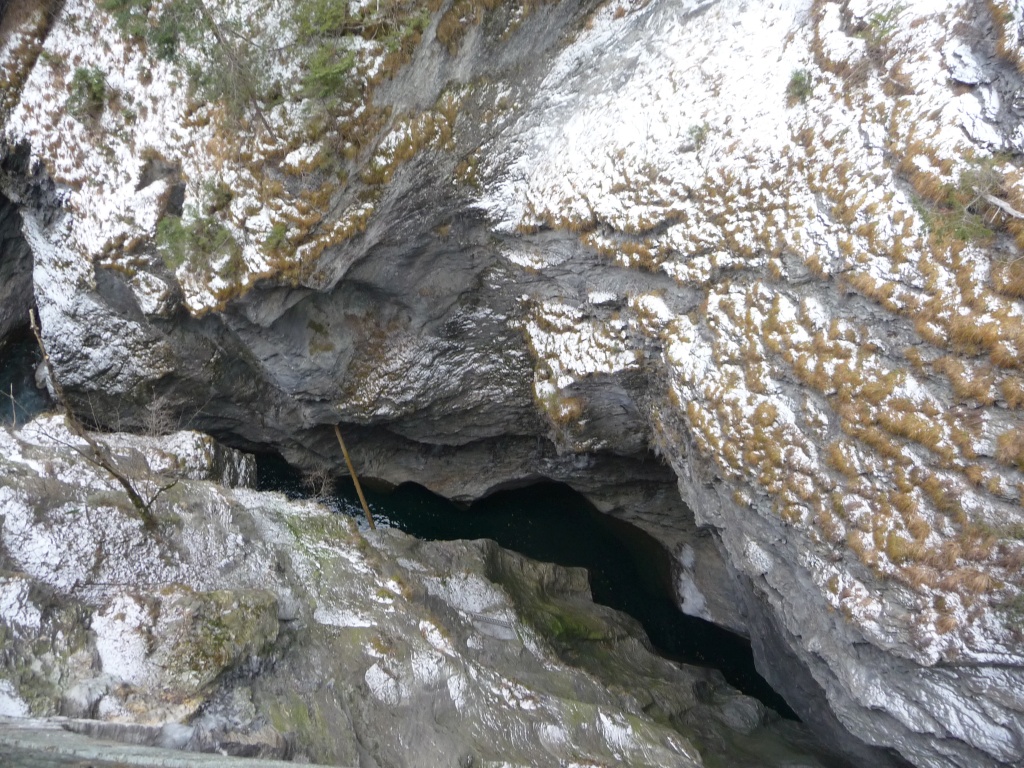p1090274adsli.jpg