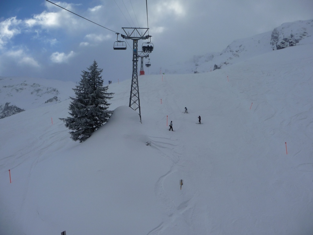 p109045764rmn.jpg