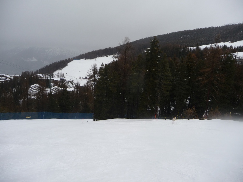 p1090564t6rya.jpg