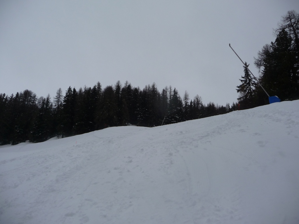 p1090565xsrn6.jpg