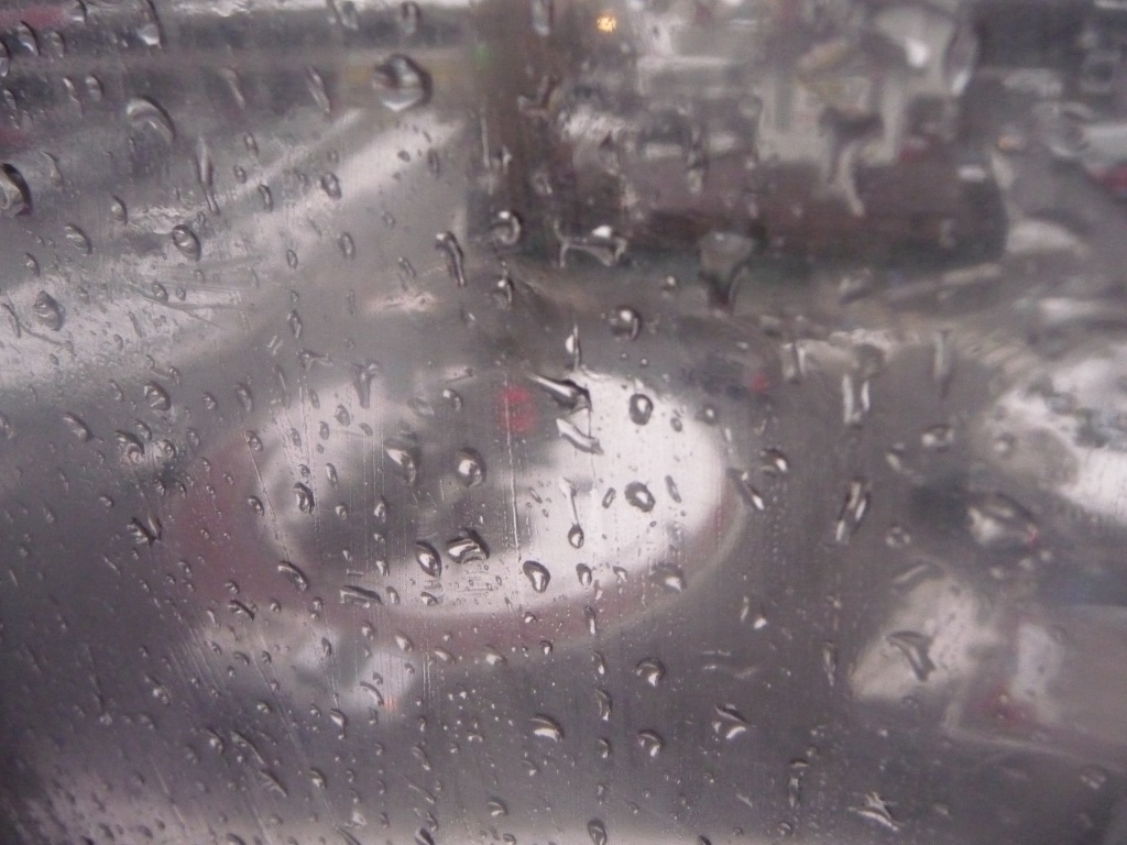p109059918q7c.jpg