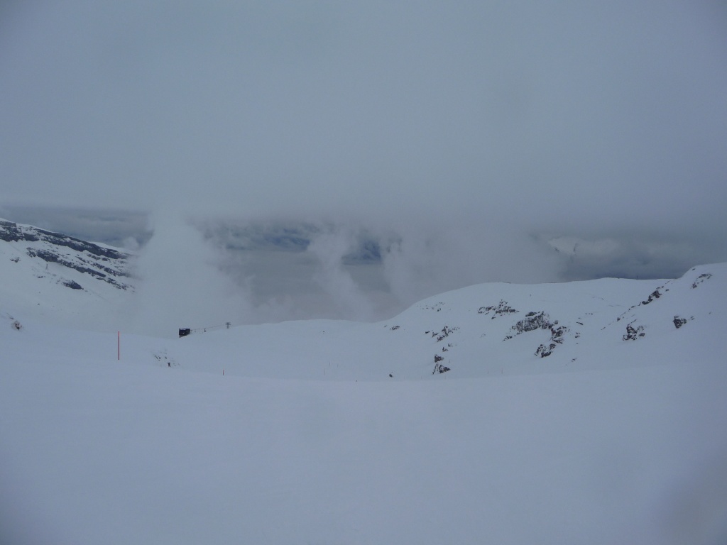 p109089769sxt.jpg