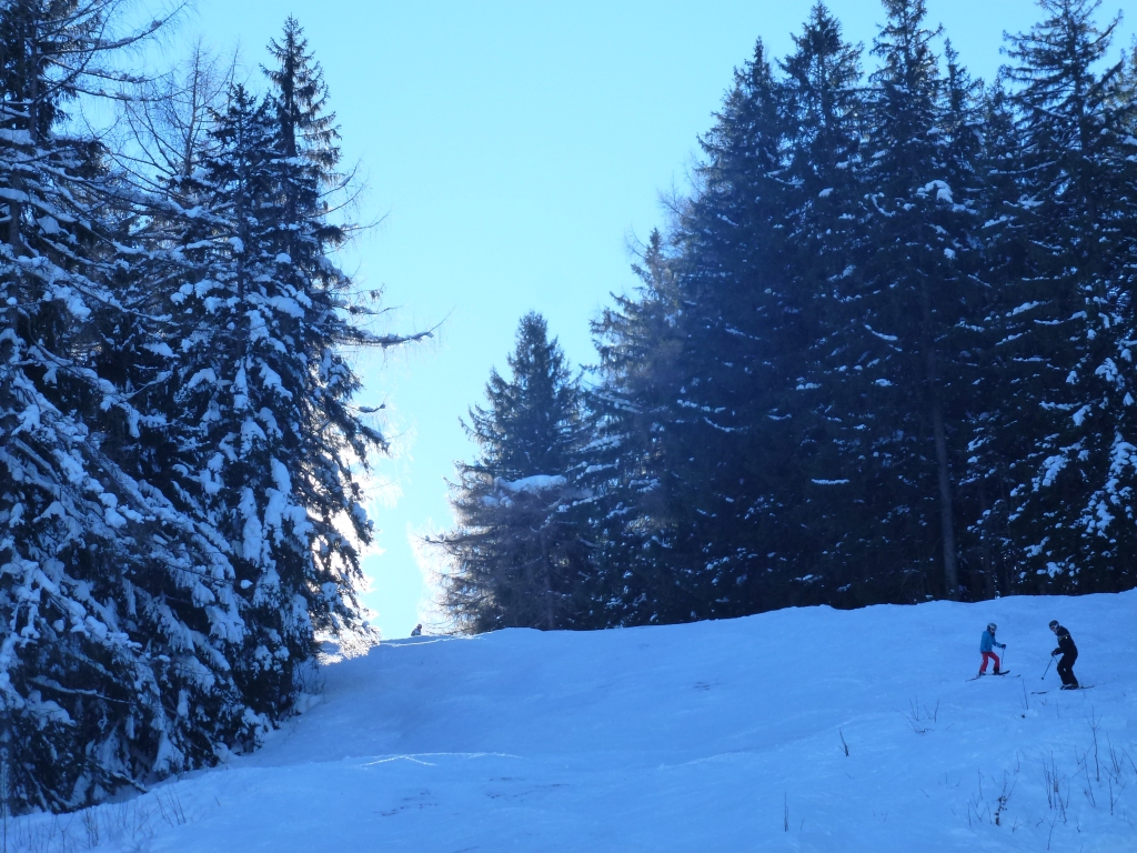p1110368zaadl.jpg