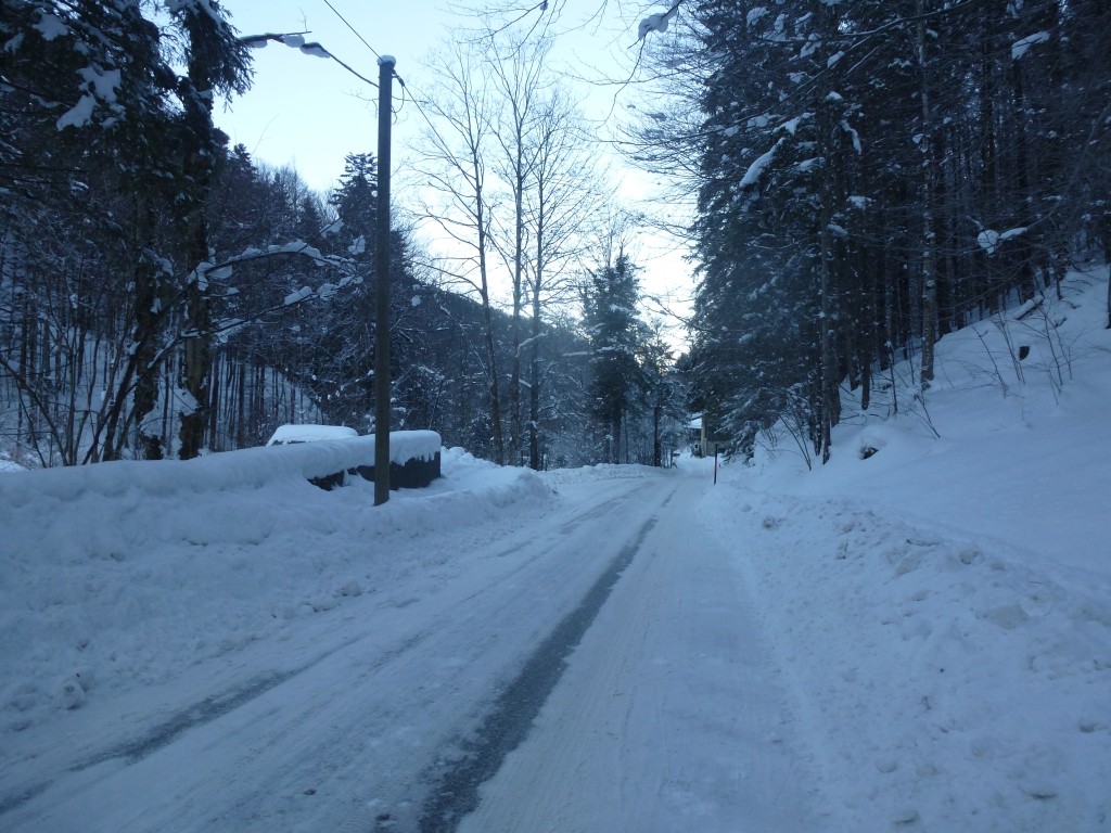 p1110476zmb2g.jpg