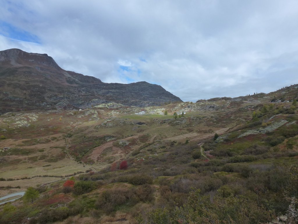 p1140577hdpys.jpg