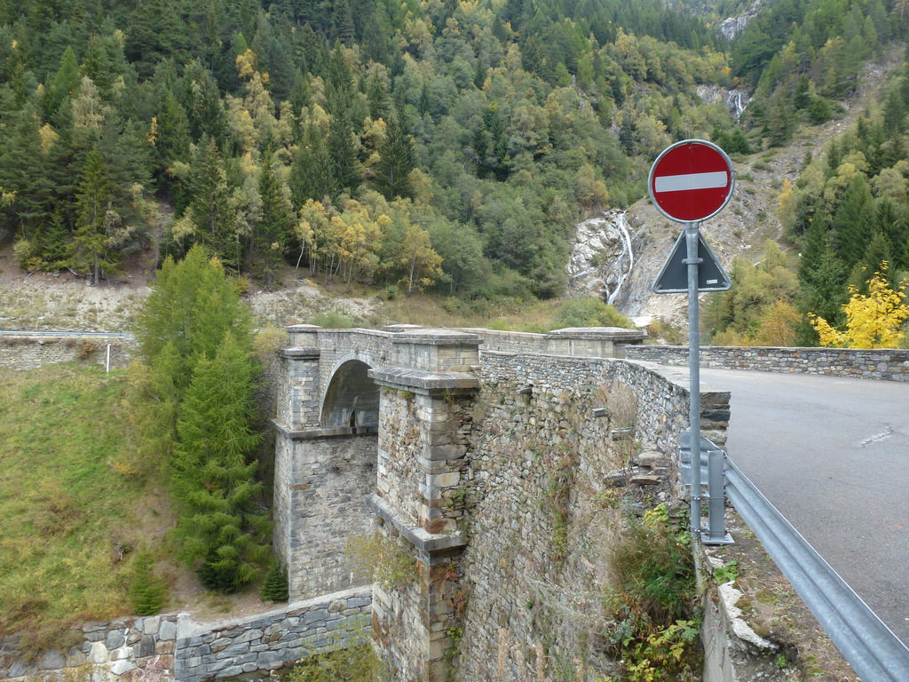 p1140585flsqm.jpg