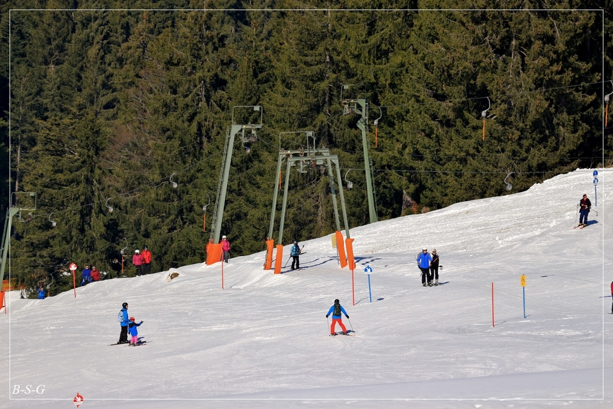 366euk9.jpg