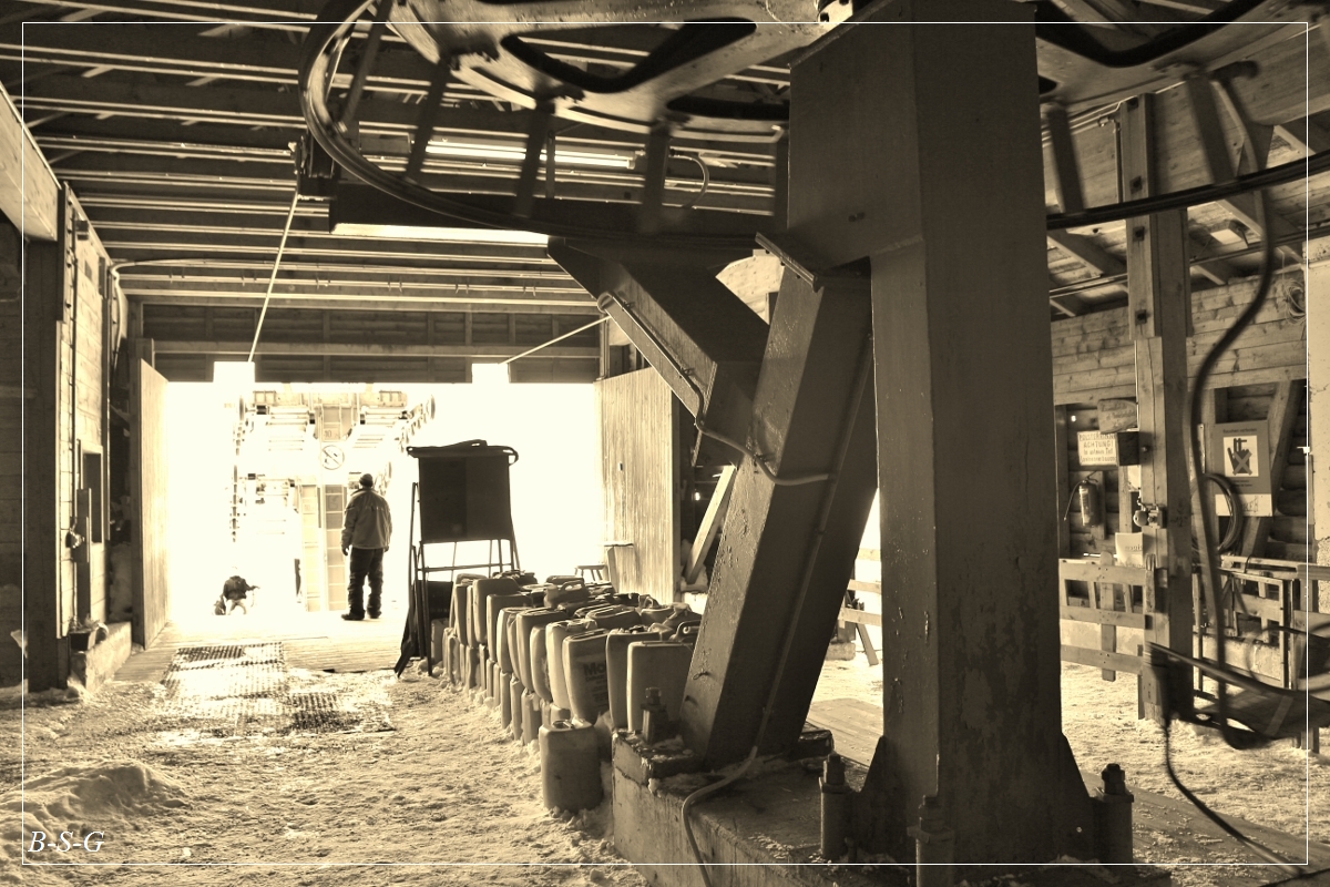 39v1cz0.jpg