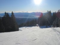 IMG_2718_1.JPG