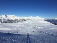 B1C1391D-FA4E-4DAB-8FE8-0B74390838D6.jpeg