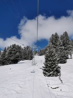 IMG_20210408_091233.jpg