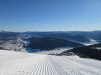 IMG_6988_1.JPG