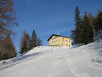 IMG_0393_1.JPG