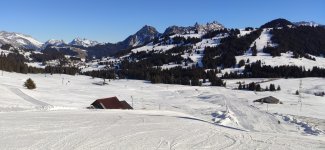 IMG_20220126_112230.jpg
