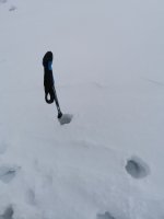 IMG_20211129_164228.jpg