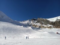 IMG_20221016_110534.jpg