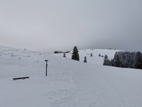 IMG_20230122_143807.jpg
