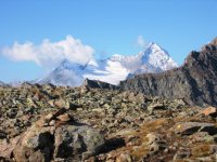 34-Grivola, 3953 m.jpg