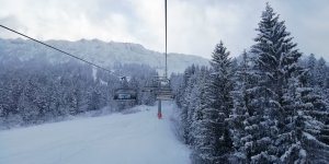 IMG_20230123_083000.jpg