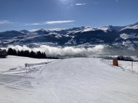 9C6ED1C6-C29D-4152-B202-62AE0381D2E5.jpeg