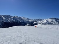 IMG_4173.jpg