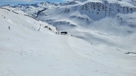 20230410_115035.jpg